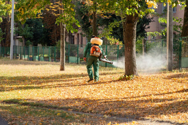 Best Pest Removal Services  in Arlington, OH